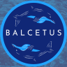 Balcetus