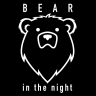 Bear in the Night