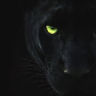 .Black Panther.