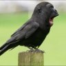 lolurmom