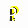 P_π