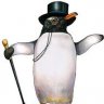 Gentle Penguin