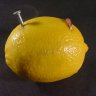 Punctured Lemon