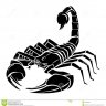 BlackScorpion