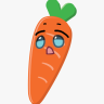 carrot field