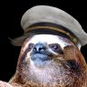 Mr.Sloth44
