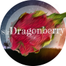 SirDragonberry