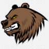 Bear_grizzly