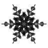 BlackSnowFlake