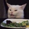 Sleepy_Cat_Old_and_Fat