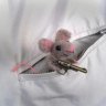 Ratatuss