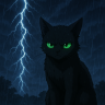BlackCat28021983