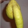 lemonfreak